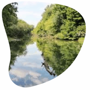 Jarovecko-rusovecká sústava ramien