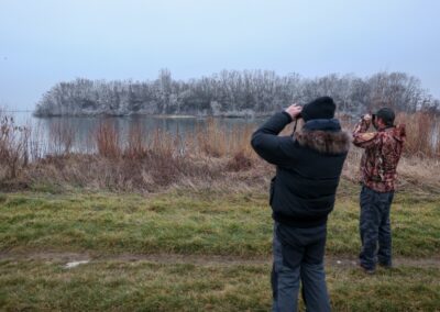 Pozorovanie kormoránov