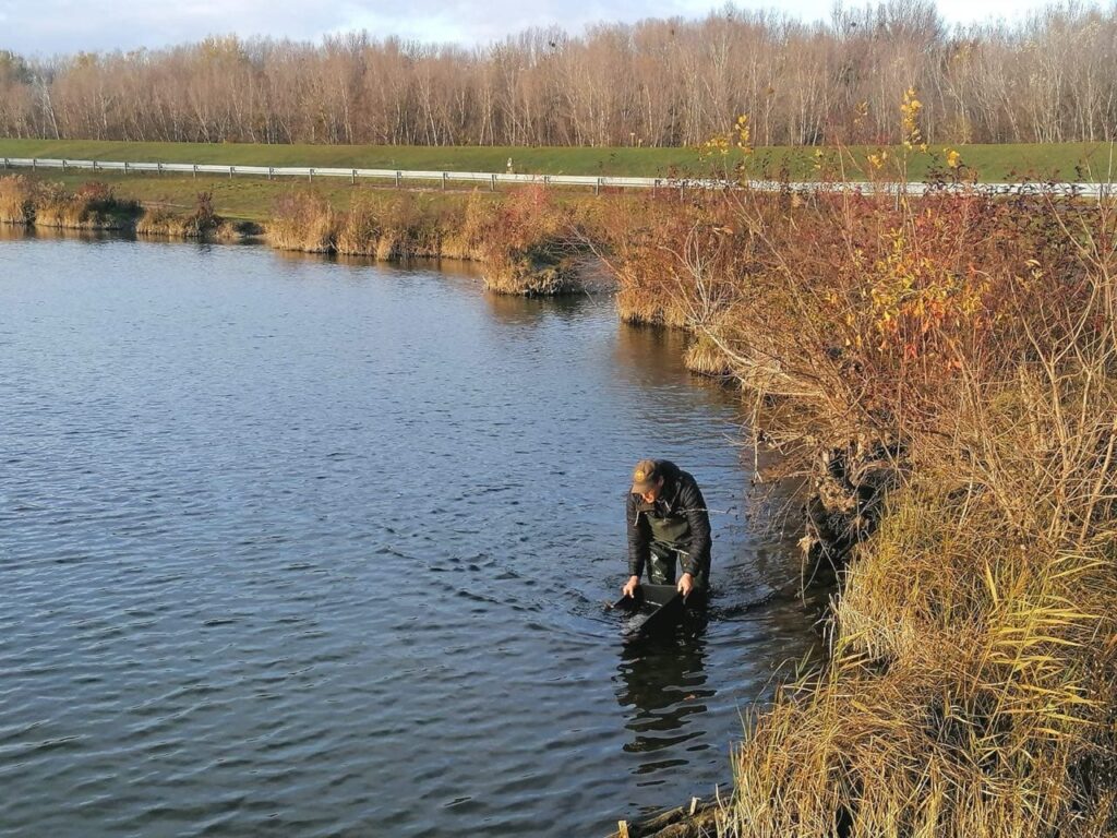 Nasádzanie štuky na Rusovciach