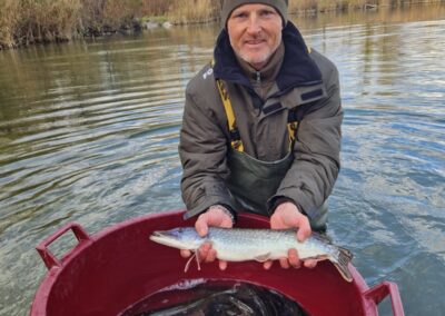 Nasádzanie štuky v Rusovciach