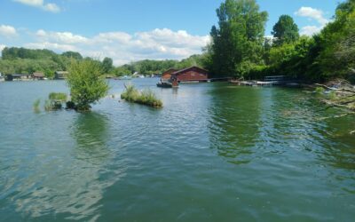 Zmena od 1. januára 2025 – Výnimka na vjazd automobilov k rybárskym revírom