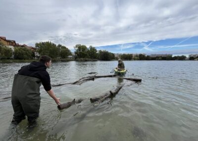 Osádzanie stromov na Draždiaku