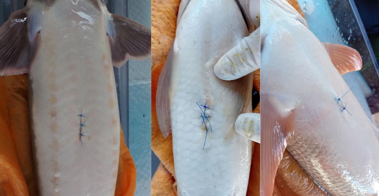 Tired sportswoman lying on sports bench