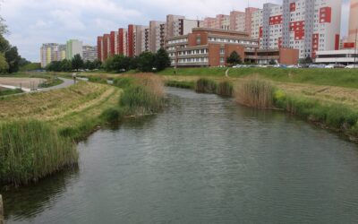 Zmena vodnej hladiny na Chorvátskom ramene: čo čaká rybárov po 15. marci